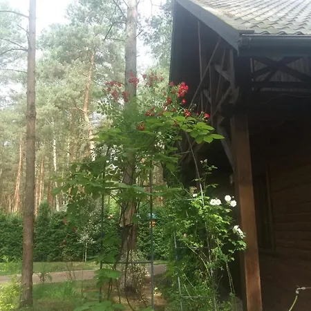 Willa Lesna Ostoja Nad Pilica