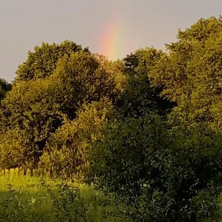 Lesna Ostoja Nad Pilica