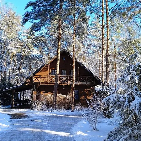 Lesna Ostoja Nad Pilica Вилла *